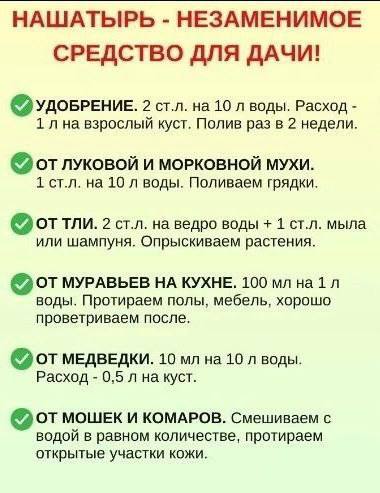 Берём на заметку!Больше советов тут - Моя дачаНе забудьте подписаться ...