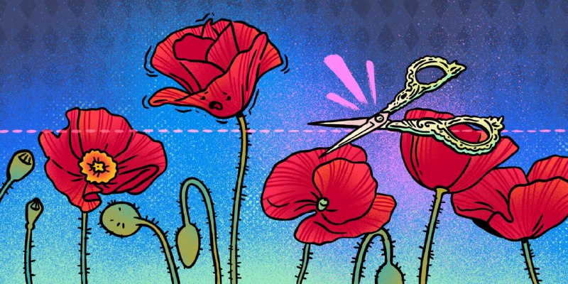 Что такое синдром высокого мака и почему людей раздражает чужой успехТакое стрем…