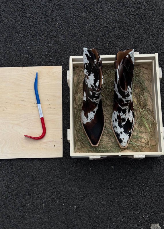 Господа, кто-то из вас оплатил подписку на ежедневную порцию моих луков… Так что...