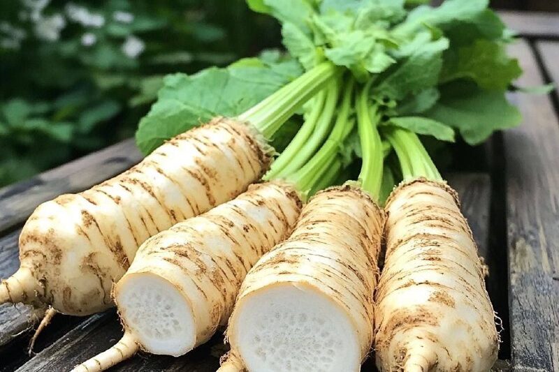 Хрен для очищения дыханияХрен — природный антисептик и мощное средство для дыхат…