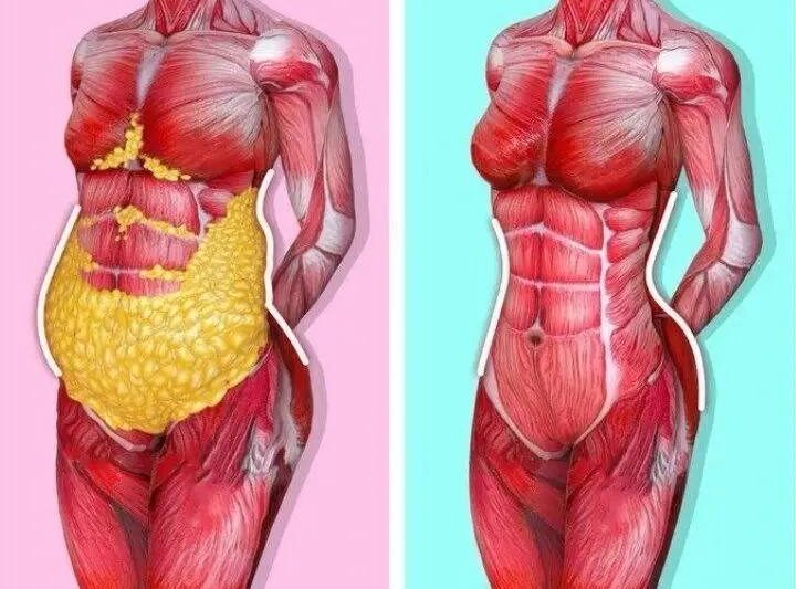 Как убрать жир внизу живота?Даже у людей со стройной фигурой живот действительно…