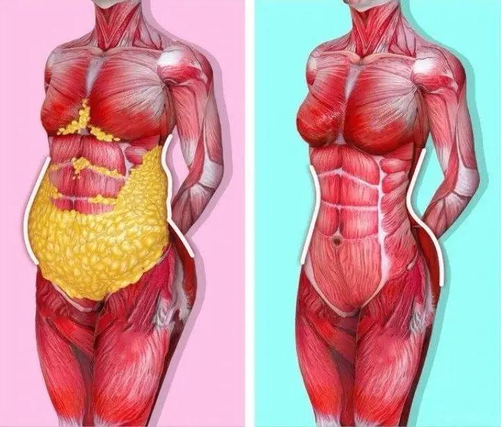 Как убрать жир внизу живота?Даже у людей со стройной фигурой живот действительно...