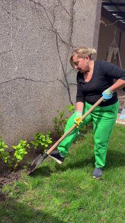 Какая же красота выросла!Дачные советы  Чат для дачников…