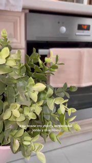 Лайфхак, чтобы полотенца на кухне были свежимиХитрости Дяди Вани…