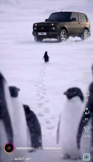 Лол, в официальном аккаунте Lada в Йемене показали, куда на самом деле ушёл тот …