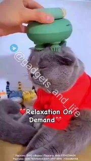 Массажер для домашних животных мягкий электрическийЗаказать на Aliexpress — ссыл…