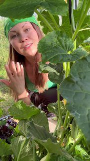 Огурец «КВИРК»⠀В этом сезоне для себя открыла необычный снековый огурец — Квирк….