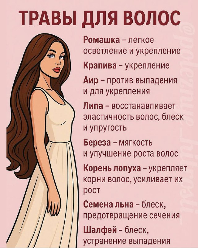 Полезные травы для ваших волос Сохраняйте подборку Спасибо за ваши ...