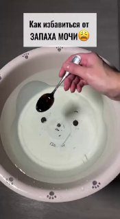 Полный рецепт, как убрать запах мочи с мягкой мебели 1⃣ В таз наливаем 2 …