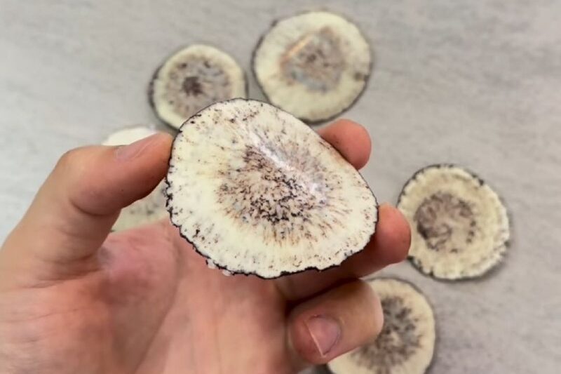 Рассказываю как сделать такой необычный #декор из шоколада.1. Растопите и темпер…