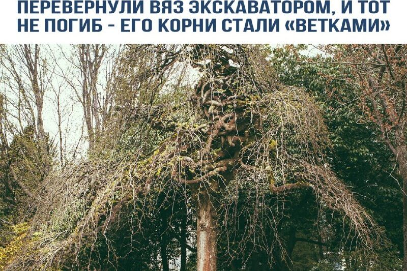 Рубрика «Э-э-эксперименты!»…
