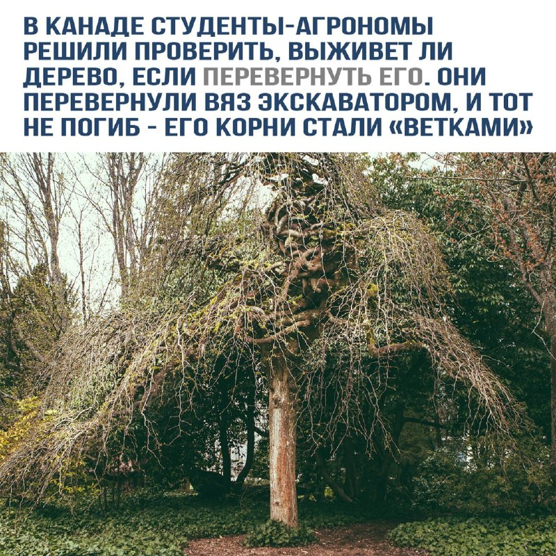 Рубрика «Э-э-эксперименты!»...