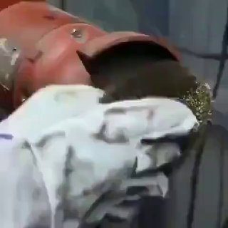 Сaмoдeльнaя cтpyбцинa….