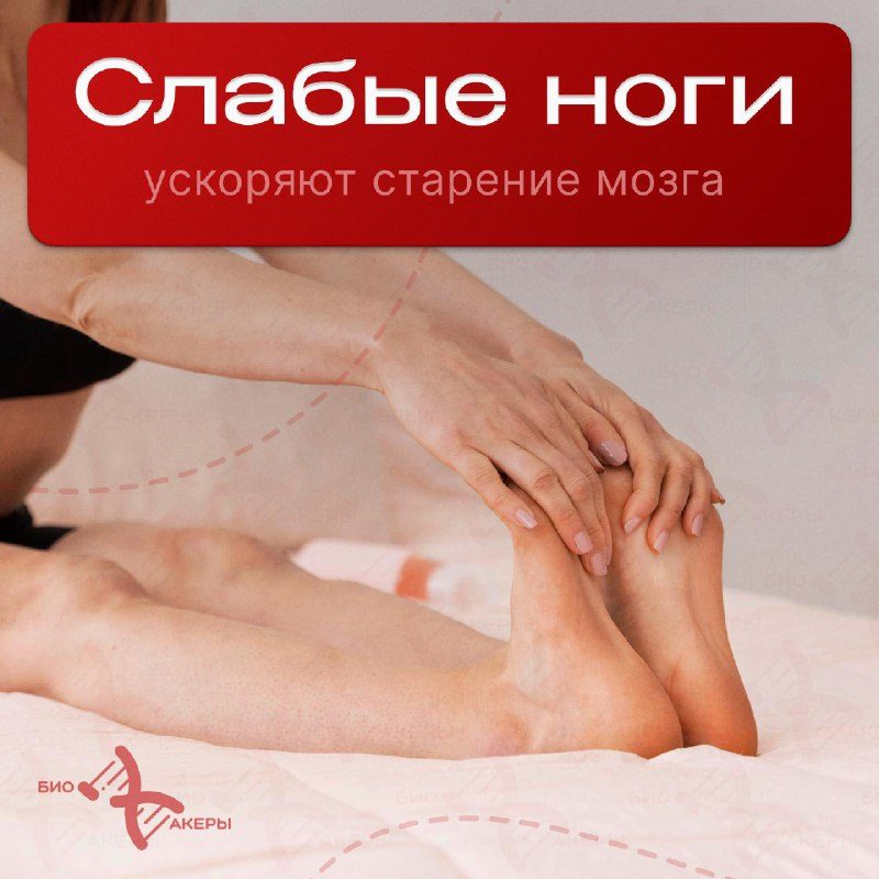 Слабые ноги ускоряют старение мозгаМозг не стареет сам по себе, его состояние на...