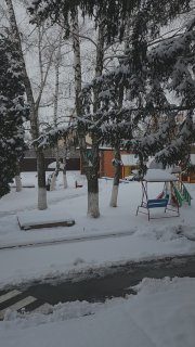 В Краснодарский край снова вернулась зимаУтром отвела Лизу в сад и стояла любова…