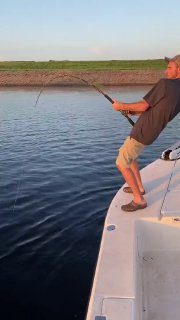 Вот это я понимаю уловКогда рассказываешь всем, что «таких крокодилов» тягал, а…