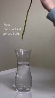 Вот как сделать, чтобы цветы простояли подольше Хитрости Дяди Вани…