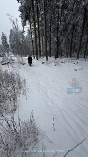 Сноубайк На AliExpress — https://ali.click/hui9yl?erid=2SDnjcD6QFzМужской Aliexp…