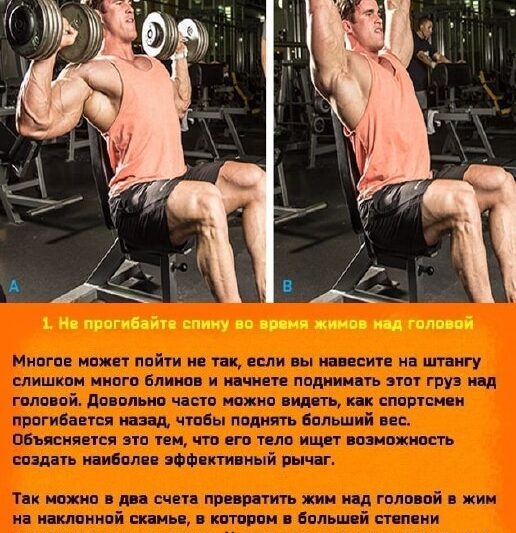 Советы для правильного развития дельт…